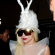 Lady Gaga Falls Ill; Conan Leaves NBC